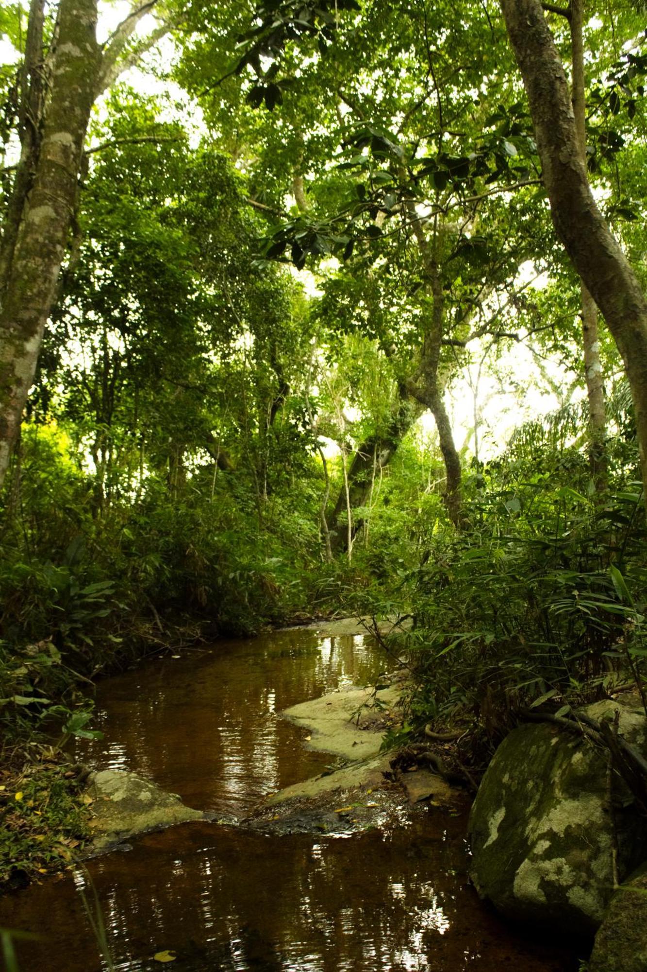 Soluna Veg - Diárias de Quartos e Chalés na temporada Florianópolis Extérieur photo